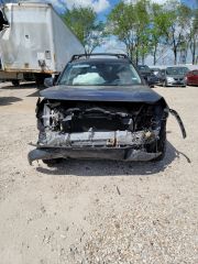 2019 Toyota RAV4 XLE Premium - Exterior Front Center Image